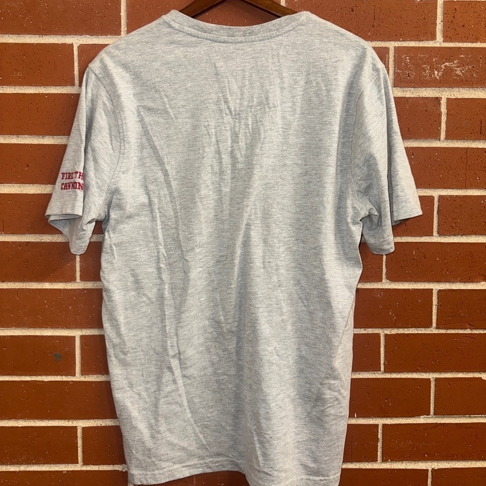 NFL x Darius Rucker Tampa Bay Buccaneers Henley T-Shirt Gray Small - Picture 3 of 3
